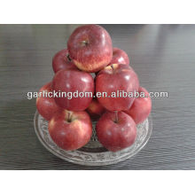 Red delicious apple 100-125 18kg